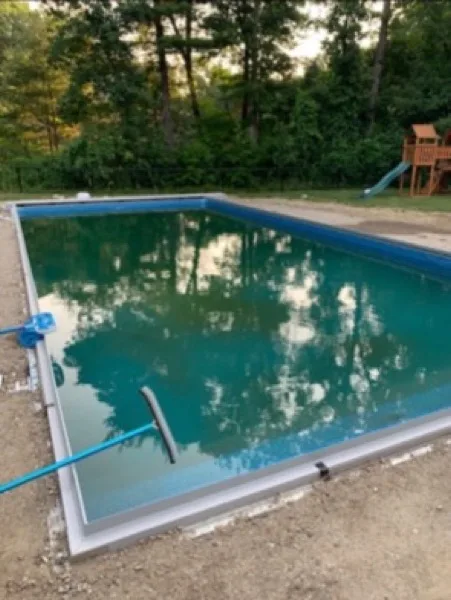 Backyard pool before cleaning, water green with algae